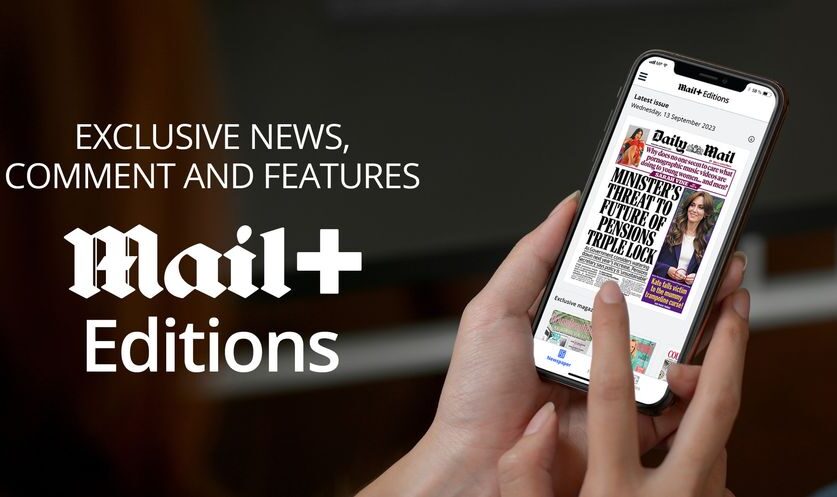 cdf70ec86f99-seo-imagelifestyle2023